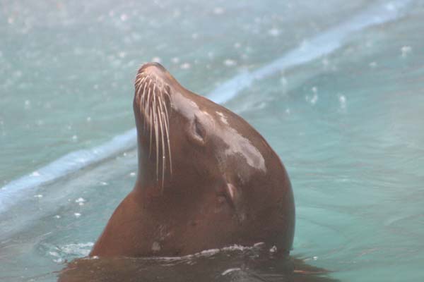 IMG_0078
