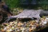 IMG_0709