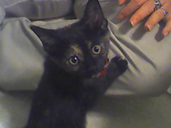 zoe